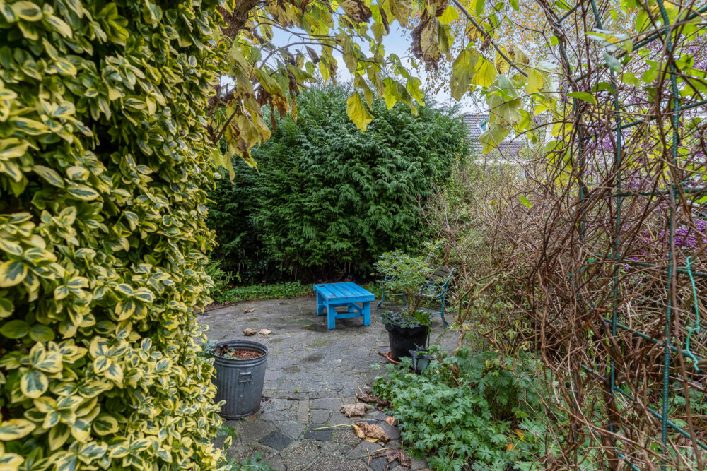 09-Achtertuin-05