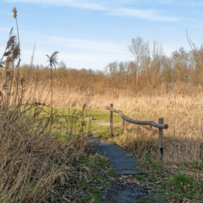10-Omgeving-04